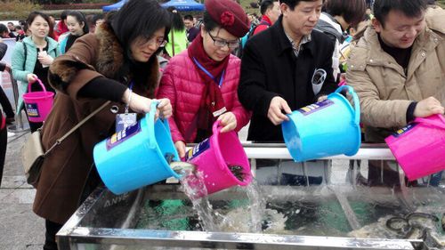 QQ图片20170405100752 QQ图片20170405100752